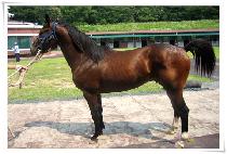 ����Ŭ���� (HIGHCLASS) ����