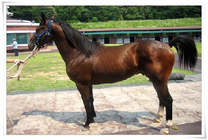 ����Ŭ���� ����