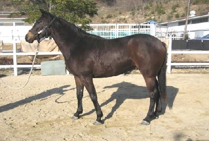 �������� ����