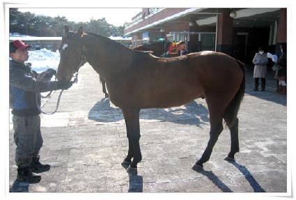 ���ﰩ�� ����