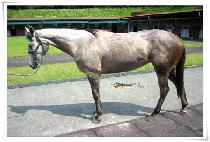 ���ؿ��� (SEOHAEYEOSIN) ����