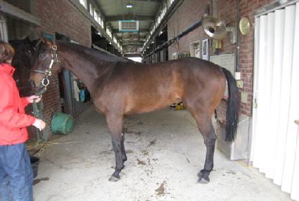 �Ѿ�� ����