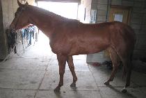 �����ǿ��� (MUNHAGUIYEOWANG) ����