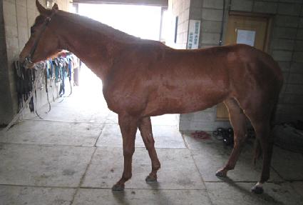 �����ǿ��� ����