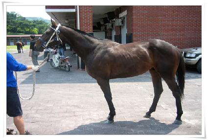 �Ȱ��� ����