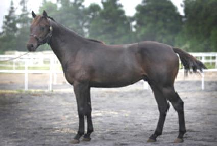 ���м� ����