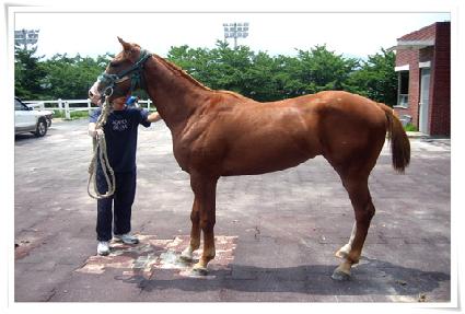 �ú��� ����