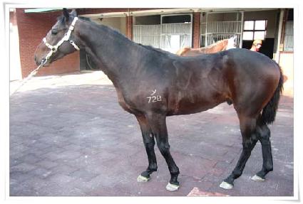 ����ƮŸ�̰� ����