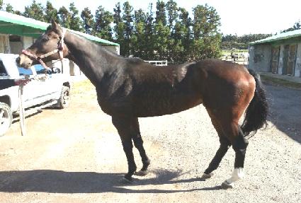 ��Ƽ��Ʈ ����