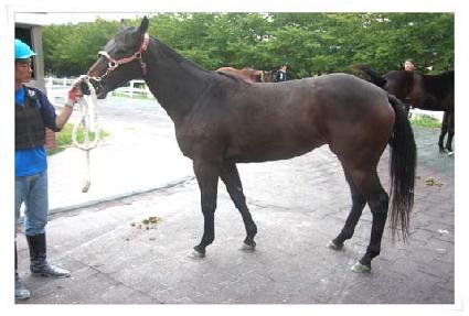 ������ ����