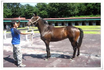 ���������� ����