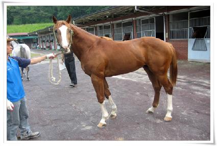 ������� ����