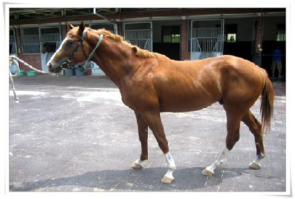 ĳ�Ƕ���¡ ����