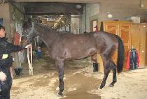 �¿츮 (TAEURI) ����