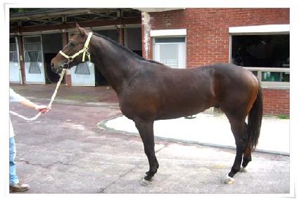 �ϼ� ����