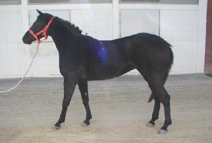 �ʵ忩�� ����