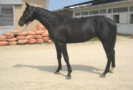 ������ ����