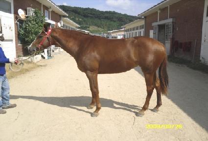 ������ ����