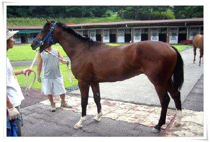 �ҹ�� ����