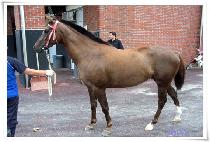 ��Ű�� (LUCKY WIN) ����