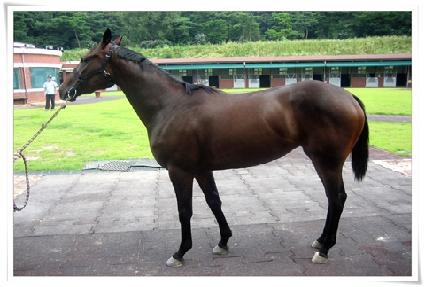 �׷��巯�� ����