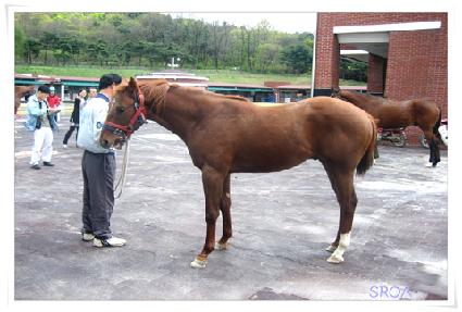 ����� ����