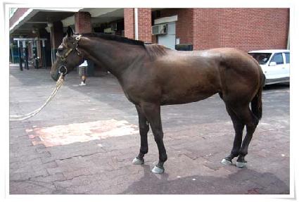 �������̽� ����