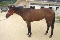 ���ϴ�� (YEONGILDAERO) ����