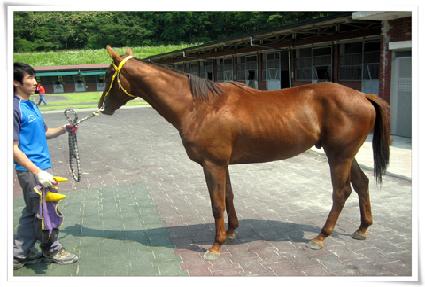 �����ູ ����