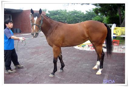 �ź���� ����