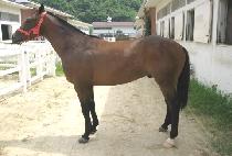 ��ī������� (SKY HERO) ����