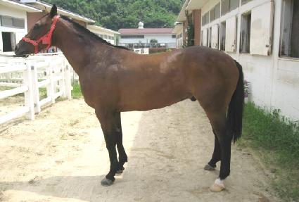 ��ī������� ����