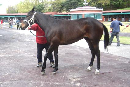 �ֿ����� ����