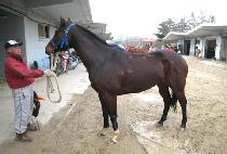 ������ǳ (SUPER TAEPUNG) ����