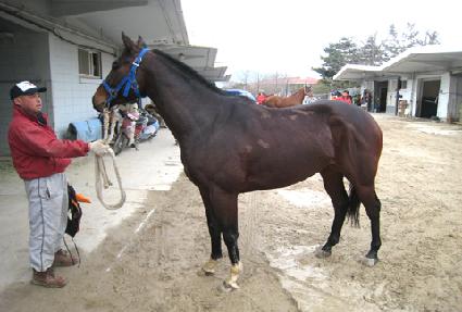 ������ǳ ����