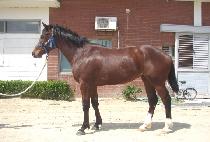 ��ǳ (DOPUNG) ����