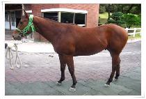 �۵�Ư�� (SONGDOTEUKGEUP) ����