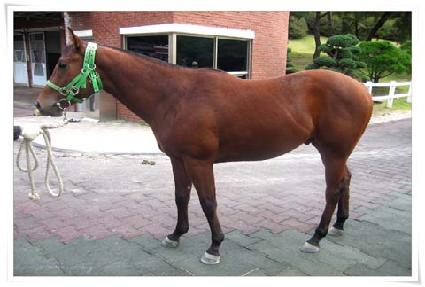 �۵�Ư�� ����