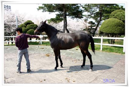 ����Ʈè�Ǿ� ����