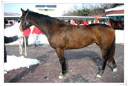 �ŷ�����Ʈ ����