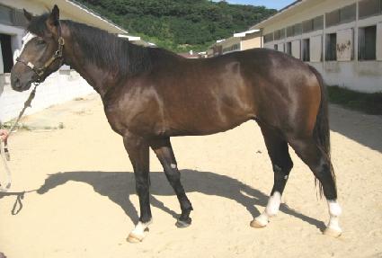 �ضߴ±�� ����