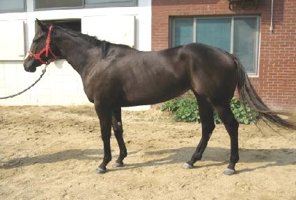 �����ǲ� ����