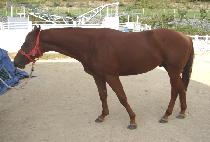 ���� (RUN RUN) ����