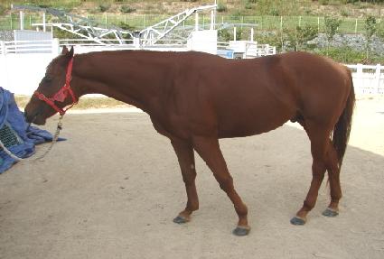 ���� ����