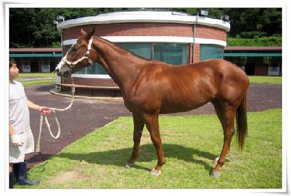 õ�� ����