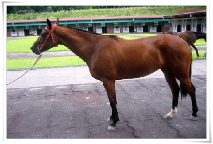 �ູ���� ����