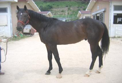 ���ο��¾� ����