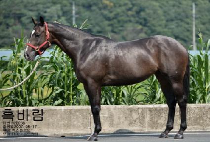 ��ٶ� ����