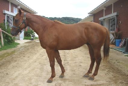 �������� ����