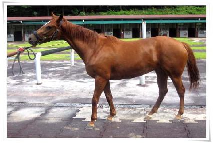 �������� ����